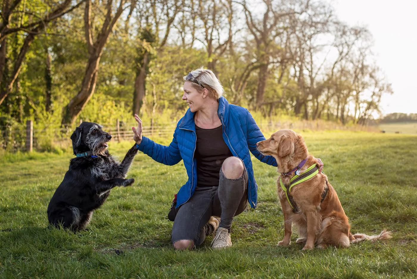 Julia kneeling in a field at golden hour with her two dogs, Ludo and Georgie, one of them giving a paw