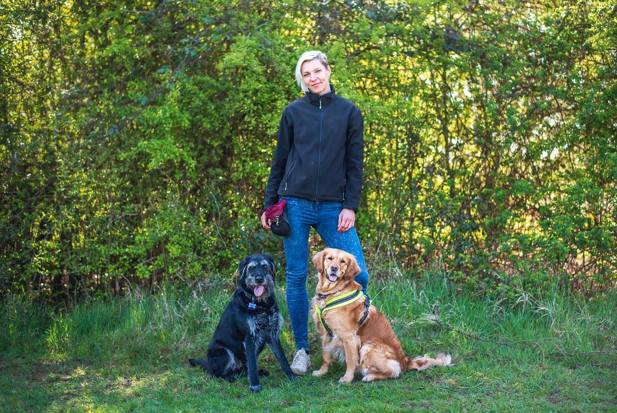 Julia standing in front of a hedge with Ludo and Georgie sitting calmly at her feet