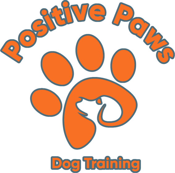 Positive Paws Dog Training
